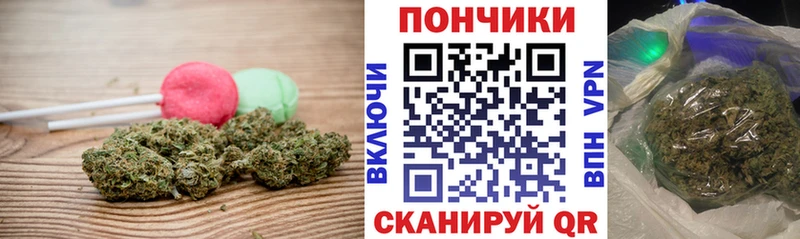 где продают наркотики  mega как зайти  сайты даркнета клад  Боровичи  Еда ТГК марихуана 