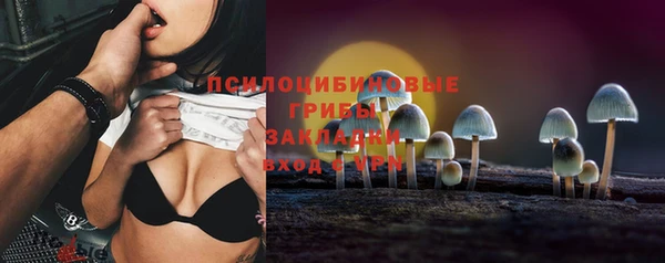 скорость Бородино