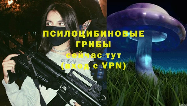 герыч Бугульма